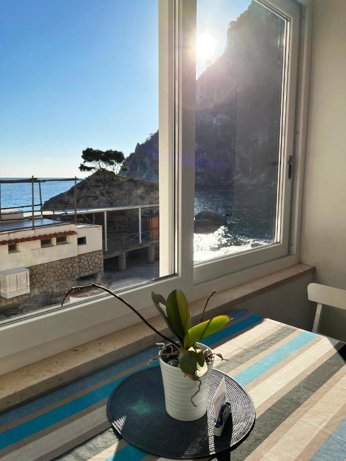 Capri Magic House On The Beach Exteriér fotografie